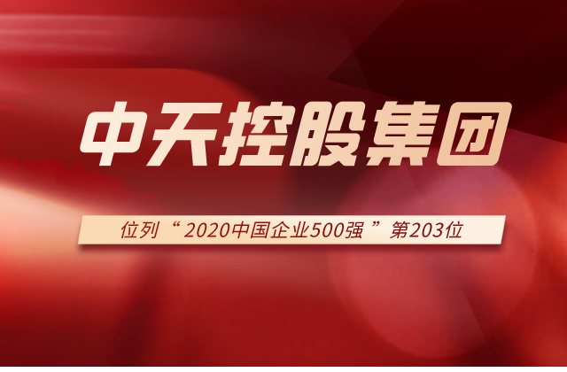 PG国际集团列2020中国企业500强第203位！